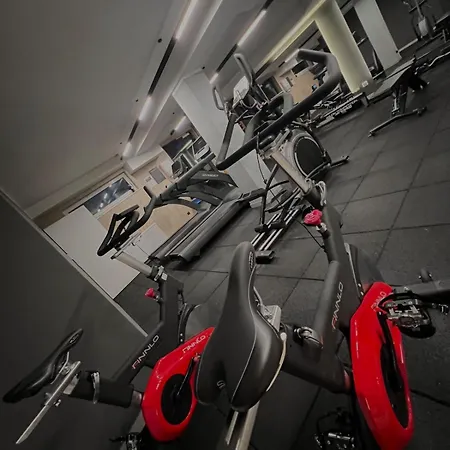 Apartment Harmonia Family Friendly Sauna Gym Garage *